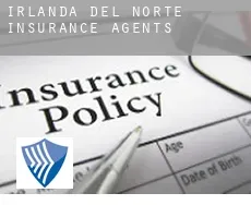 Northern Ireland  insurance agents