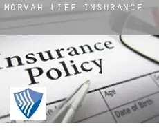 Morvah  life insurance