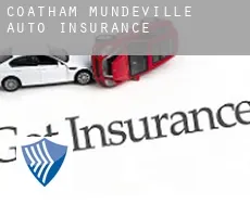 Coatham Mundeville  auto insurance