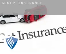 Gower  insurance