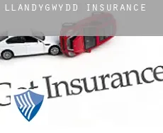 Llandygwydd  insurance