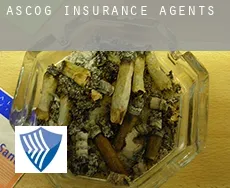 Ascog  insurance agents