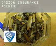 Cadzow  insurance agents