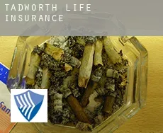 Tadworth  life insurance