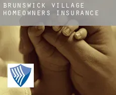 Brunswick Village  homeowners insurance