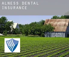 Alness  dental insurance