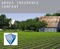 Angus  insurance company