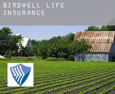 Birdwell  life insurance