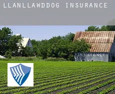 Llanllawddog  insurance