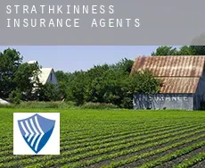 Strathkinness  insurance agents