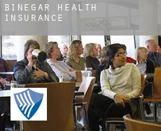 Binegar  health insurance