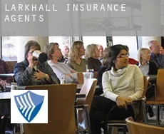 Larkhall  insurance agents