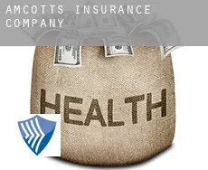 Amcotts  insurance company