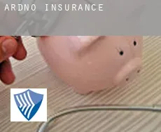 Ardno  insurance