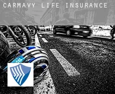 Carmavy  life insurance