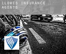 Llowes  insurance agents