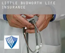 Little Budworth  life insurance