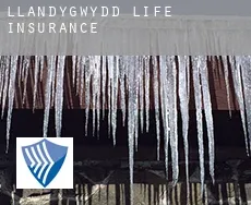 Llandygwydd  life insurance