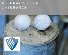 Auchnafree  car insurance