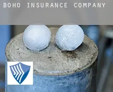 Boho  insurance company