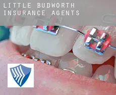 Little Budworth  insurance agents