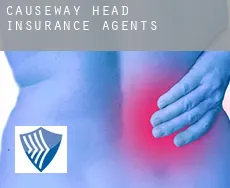 Causeway Head  insurance agents