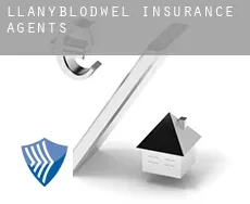 Llanyblodwel  insurance agents