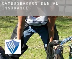 Cambusbarron  dental insurance