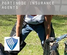 Portinode  insurance agents