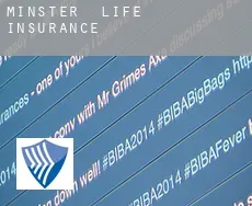 Minster  life insurance