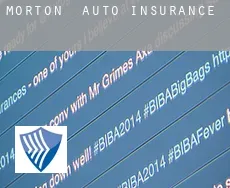 Morton  auto insurance