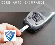 Dore  auto insurance