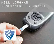 Mill Loughan  homeowners insurance