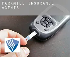 Parkmill  insurance agents