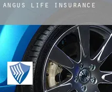 Angus  life insurance