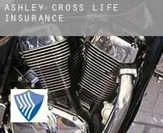 Ashley Cross  life insurance