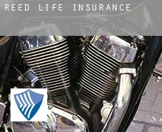 Reed  life insurance