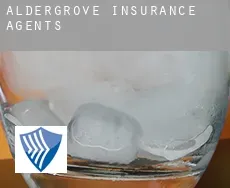 Aldergrove  insurance agents