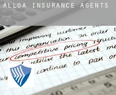 Alloa  insurance agents