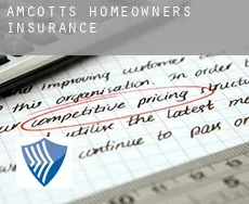 Amcotts  homeowners insurance