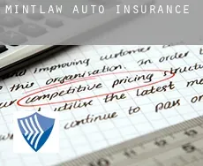 Mintlaw  auto insurance