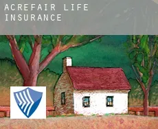 Acrefair  life insurance