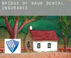 Bridge of Gaur  dental insurance