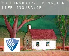 Collingbourne Kingston  life insurance