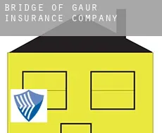 Bridge of Gaur  insurance company