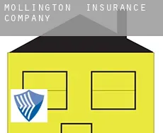 Mollington  insurance company