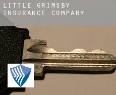 Little Grimsby  insurance company