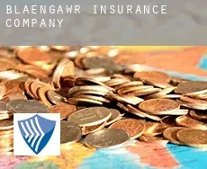 Blaengawr  insurance company