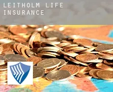 Leitholm  life insurance