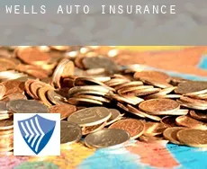 Wells  auto insurance